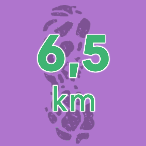 6,5 km